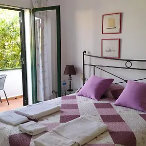 Violeta Palmeres Habitación en casa particular